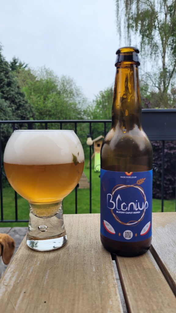 Blanius sur terrasse